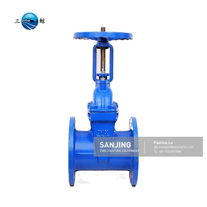Rising spindle gate valve (3)